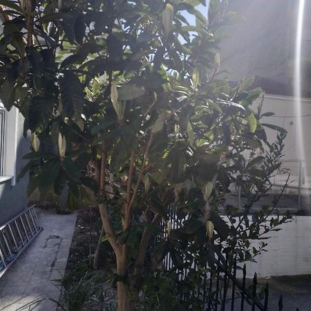 Agelikis' Apartments Nea Kallikrateia Экстерьер фото